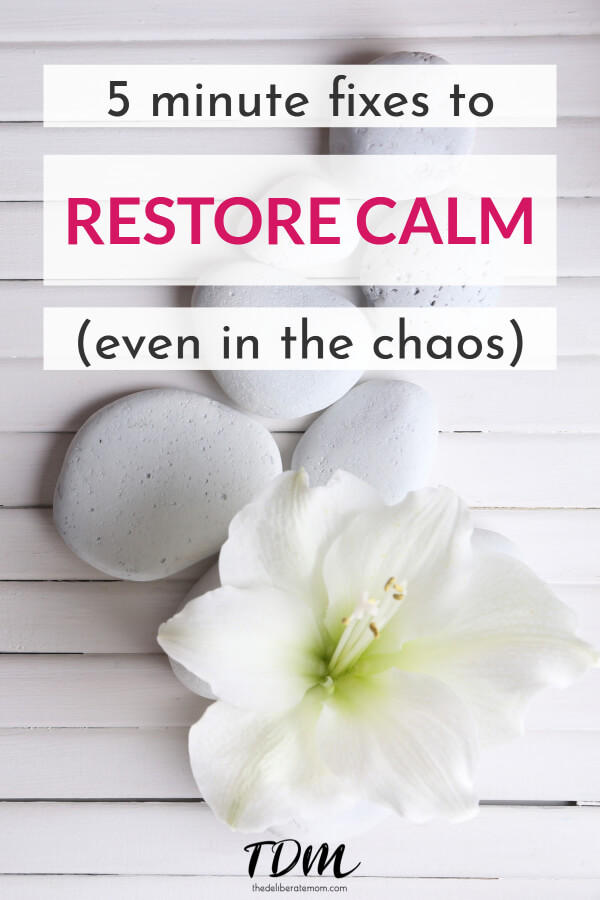 Are you overwhelmed? Exhausted? Frazzled? Here are several tips to restore calm (even in the chaos)! 
