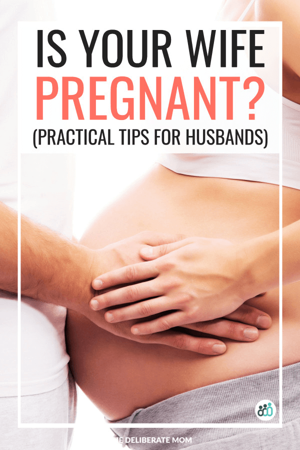 The Dudes Guide to Pregnancy Dealing with Your Expecting Wife Coming Baby and the End of Life as You Knew It 