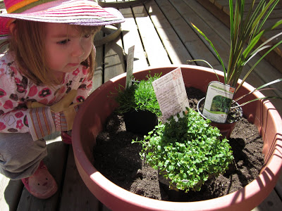 Do you want an original play idea for your kids this summer? Check out these tips to create a fun and whimsical play or fairy garden for children.