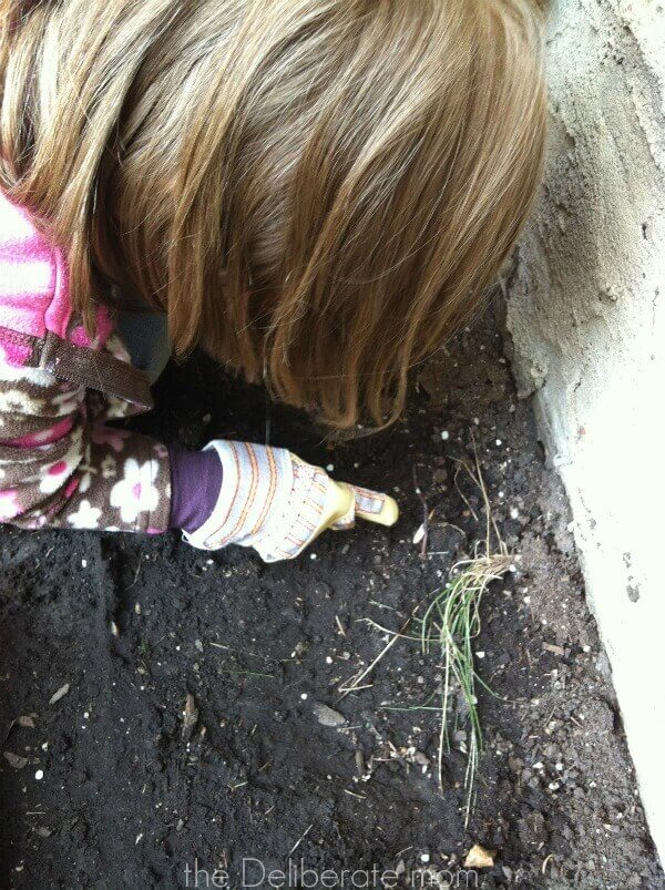 Every backyard needs a big pile of dirt to muck around in.