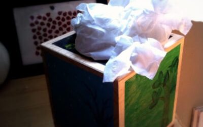 Children Live Here: The Kleenex Box
