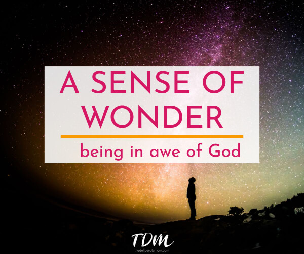 A Sense Of Wonder Being in Awe of God The Deliberate Mom