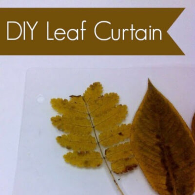 Nature Study – Autumn Leaf Curtain