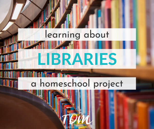 Homeschooling: Library Curriculum