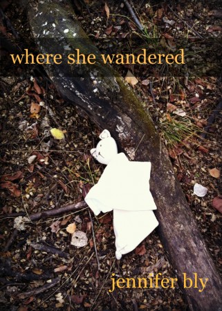 My NaNoWriMo project... Where She Wandered by Jennifer Bly