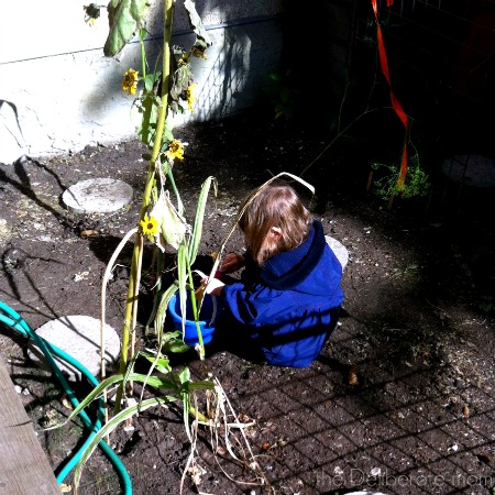 A little outside break before we continue with our learning.#homeschool #schedule