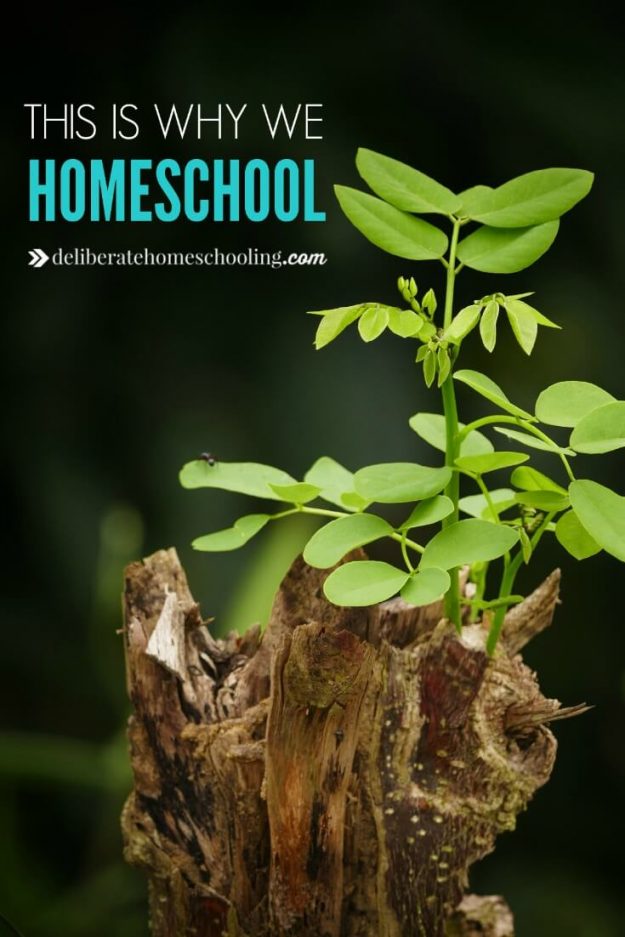 While we started homeschooling because of one reason, our rationale for homeschooling has expanded. Come find out why we homeschool. #homeschooling #whyhomeschool