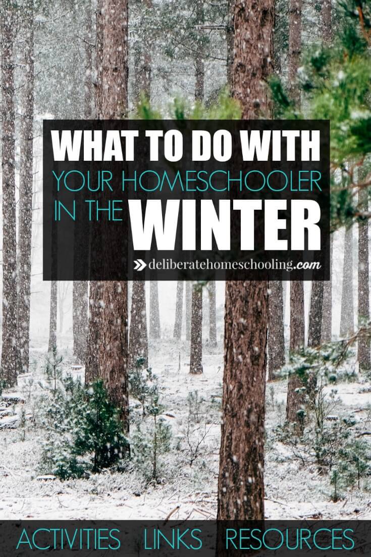 What do you do with your homeschooler in the winter? Winter can be long, boring, and dull! Bring life to your homeschool lessons with these ideas! 