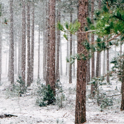 What to Do With Your Homeschooler in the Winter