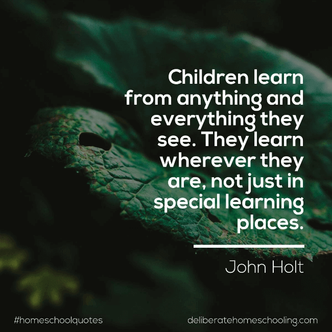 Homeschool quote: "Children learn from anything and everything they see. They learn wherever they are, not just in special learning places." John Holt