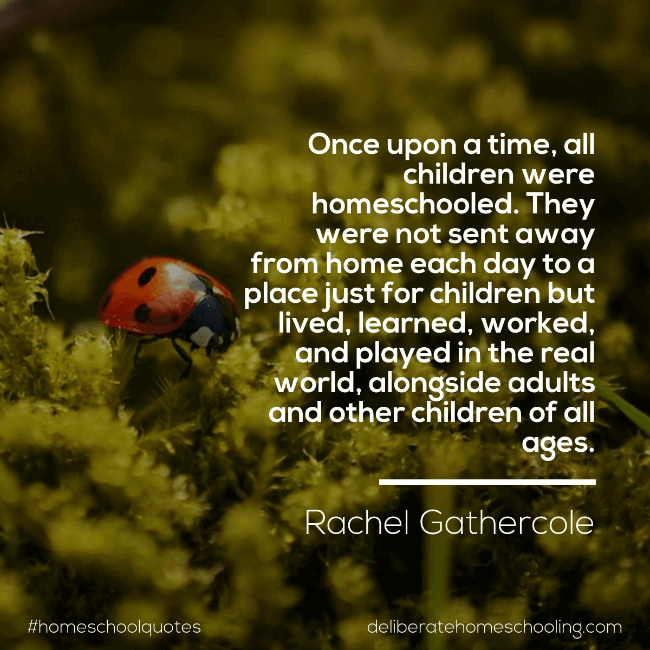 Homeschool quote: "Once upon a time, all children were homeschooled. They were not sent away from home each day to a place just for children but lived, learned, worked, and played in the real world, alongside adults and other children of all ages." Rachel Gathercole