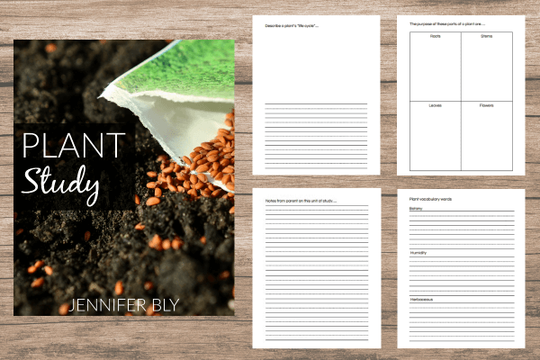 Our grade 4 homeschool curriculum choices and more! Check out our plant study download! Comprehensive and fun notebooking pages!