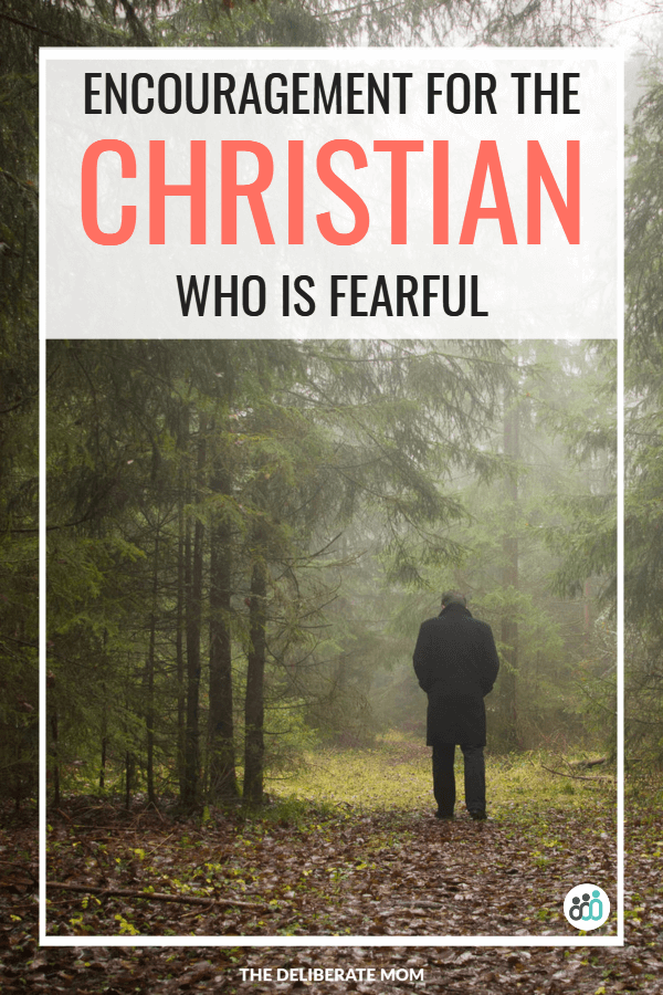 Encouragement for the fearful Christian