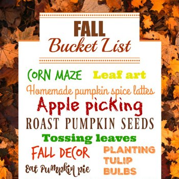 Fall Bucket List