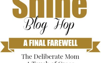The SHINE Blog Hop – Farewell