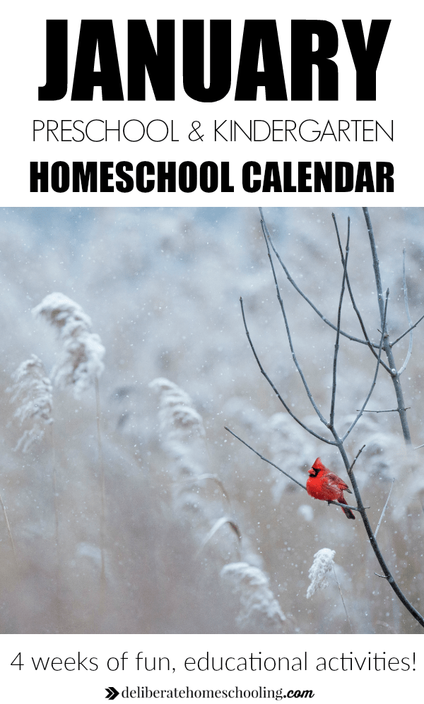Struggling to come up with educational ideas for your young homeschoolers? Check out the January Preschool / Kindergarten calendar for inspiration!