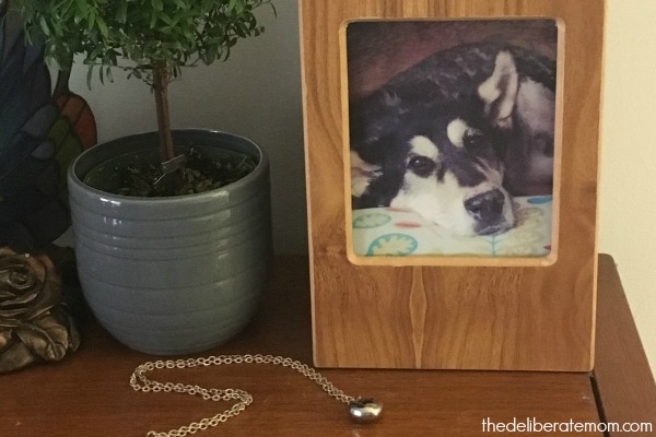 A pet's death is hard but it's especially challenging when your child is dealing with grief too. Here are some ways to support your child when their pet dies. 