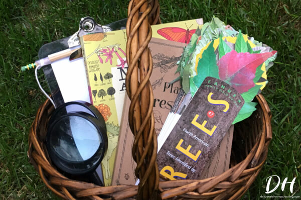 Baskets are a beautiful way to get your homeschool organized!