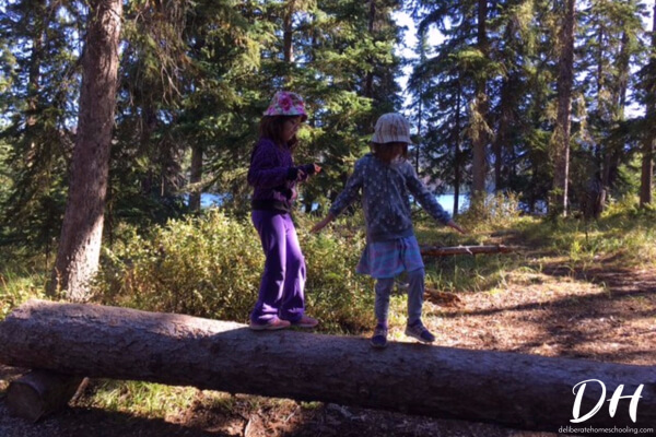 Walking across fallen tree trunks is a great physical education activity to use in a trees nature study!