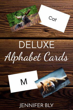 Deluxe Alphabet Cards 