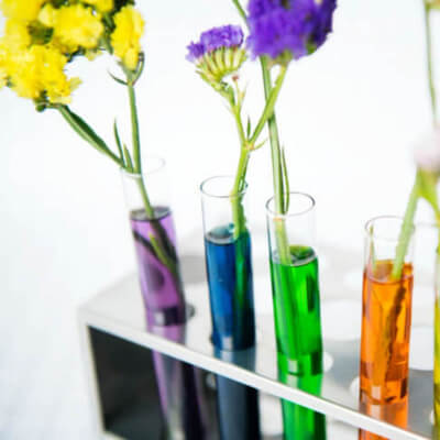 Homeschool Hacks to Teach Science