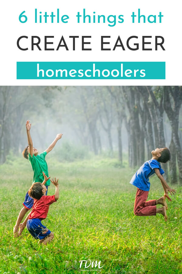 Are you a homeschooler? Do you struggle to motivate your children and make them eager homeschoolers? Here are 6 little things that can make a BIG difference in your homeschool. #homeschooltips