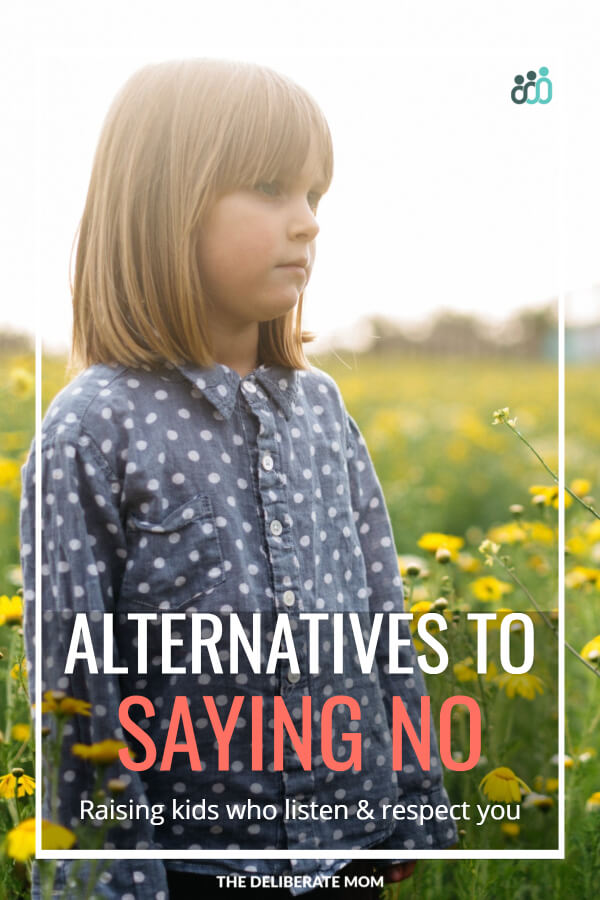 No! Stop! Don't do that! Not Now! Positive child guidance can be challenging, especially if you find yourself in a rut of saying no. Come get some tips for how to say more yes and less no and get your printable resource sheet to help you out! 